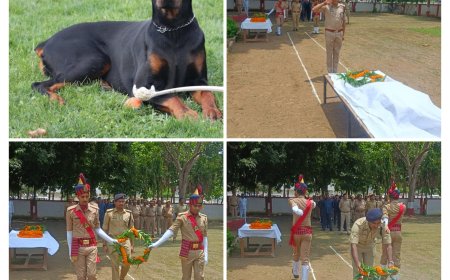 गोरखपुर पुलिस के बहादुर श्वान 'उत्लम' को नम आंखों से अंतिम विदाई, एसएसपी ने दी श्रद्धांजलि