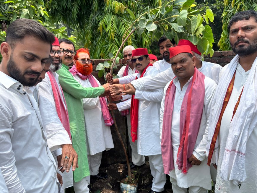 गोरखपुर में सपा कार्यालय पर मनाया गया अखिलेश यादव का जन्मदिन, वृक्षारोपण कर दिया पर्यावरण संरक्षण का संदेश